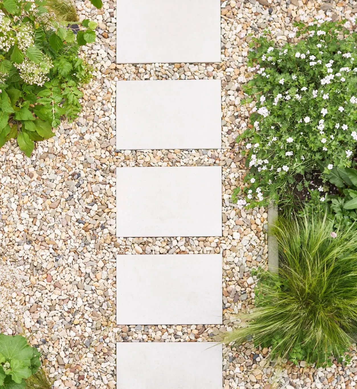 Garden pathway with rectangular stepping stones and surrounding greenery.