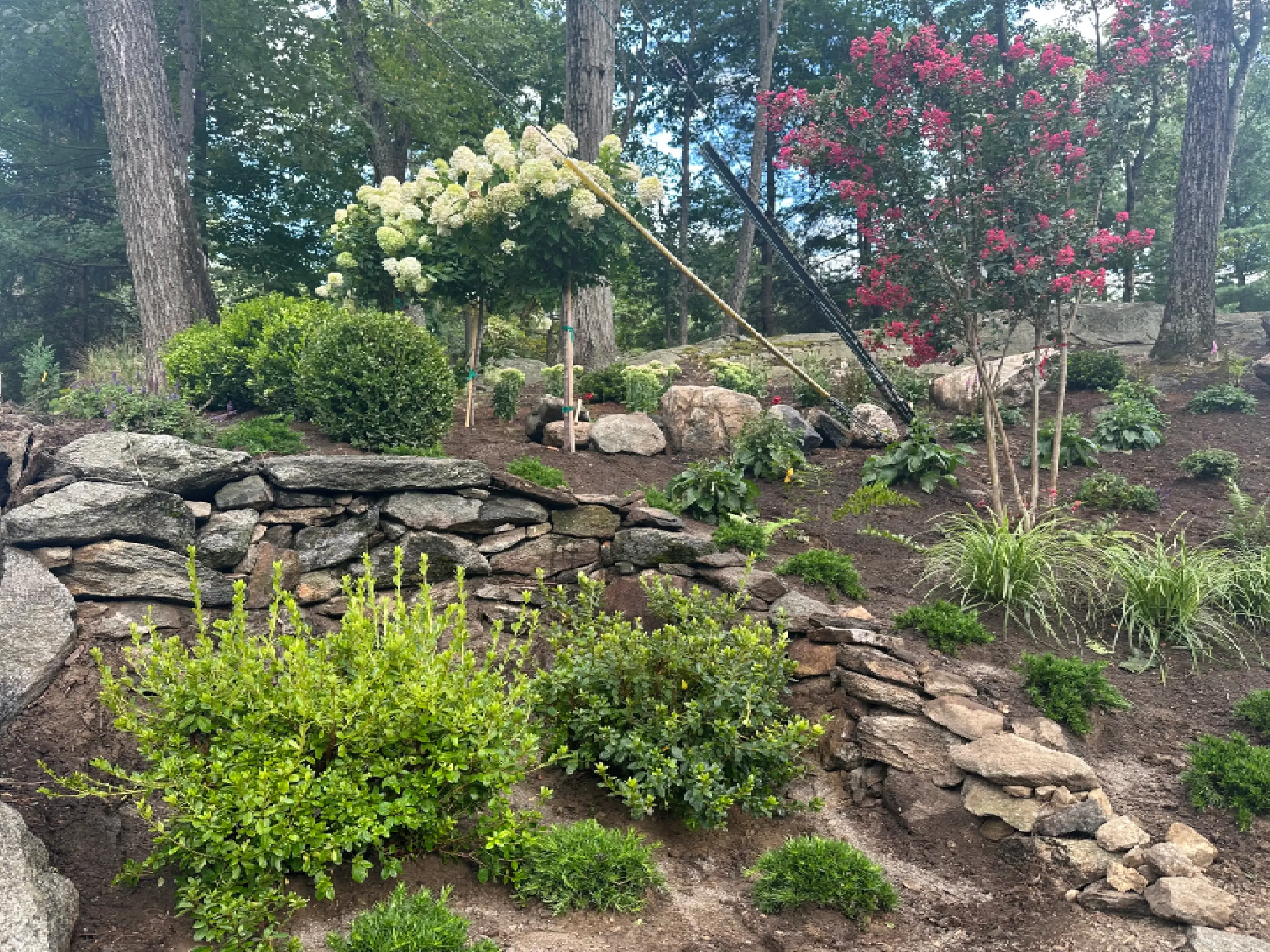 A serene garden with blooming flowers and stone steps.