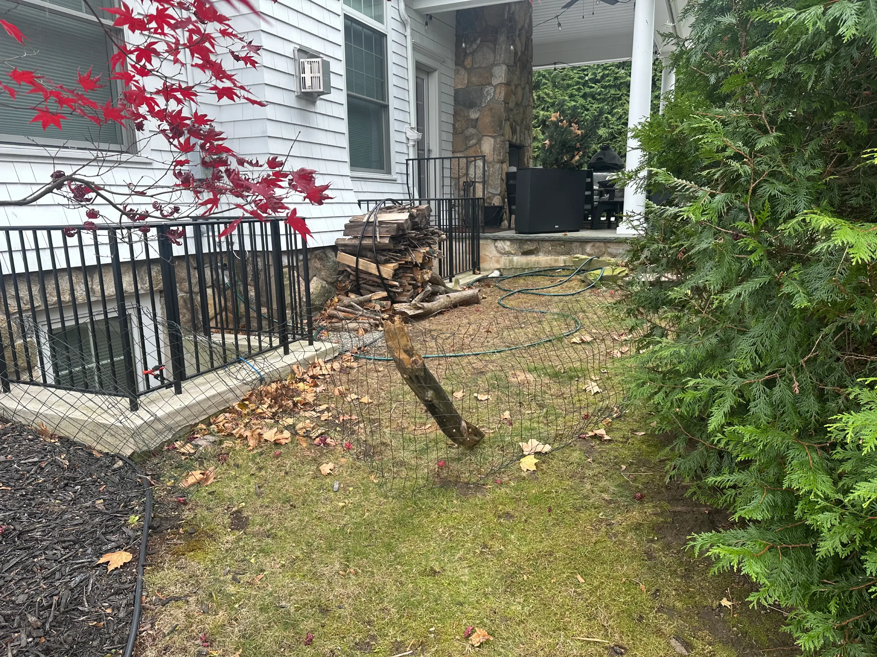 A backyard with a broken fence post leaning over the grass.