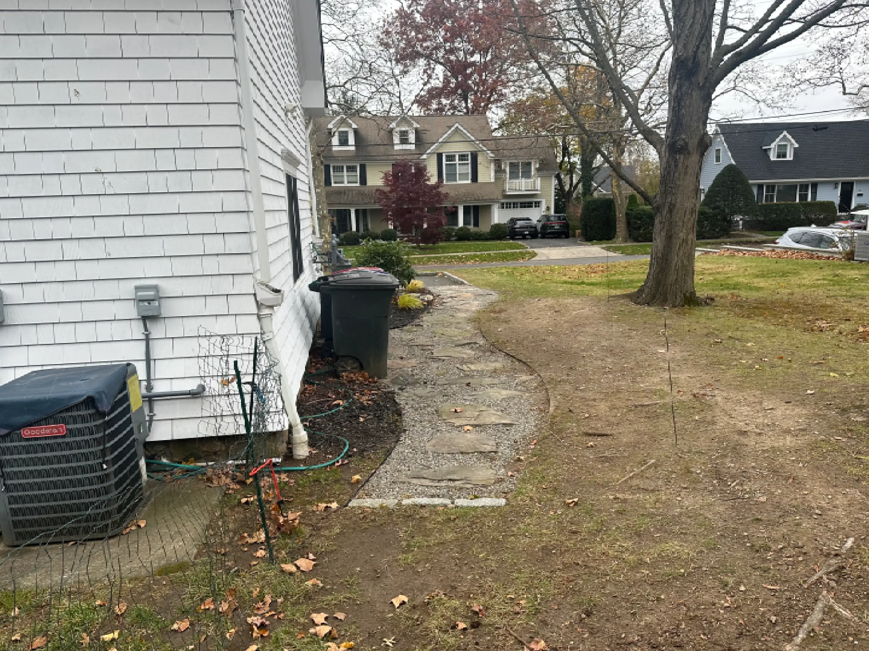 A backyard with a stone pathway and leafless trees.