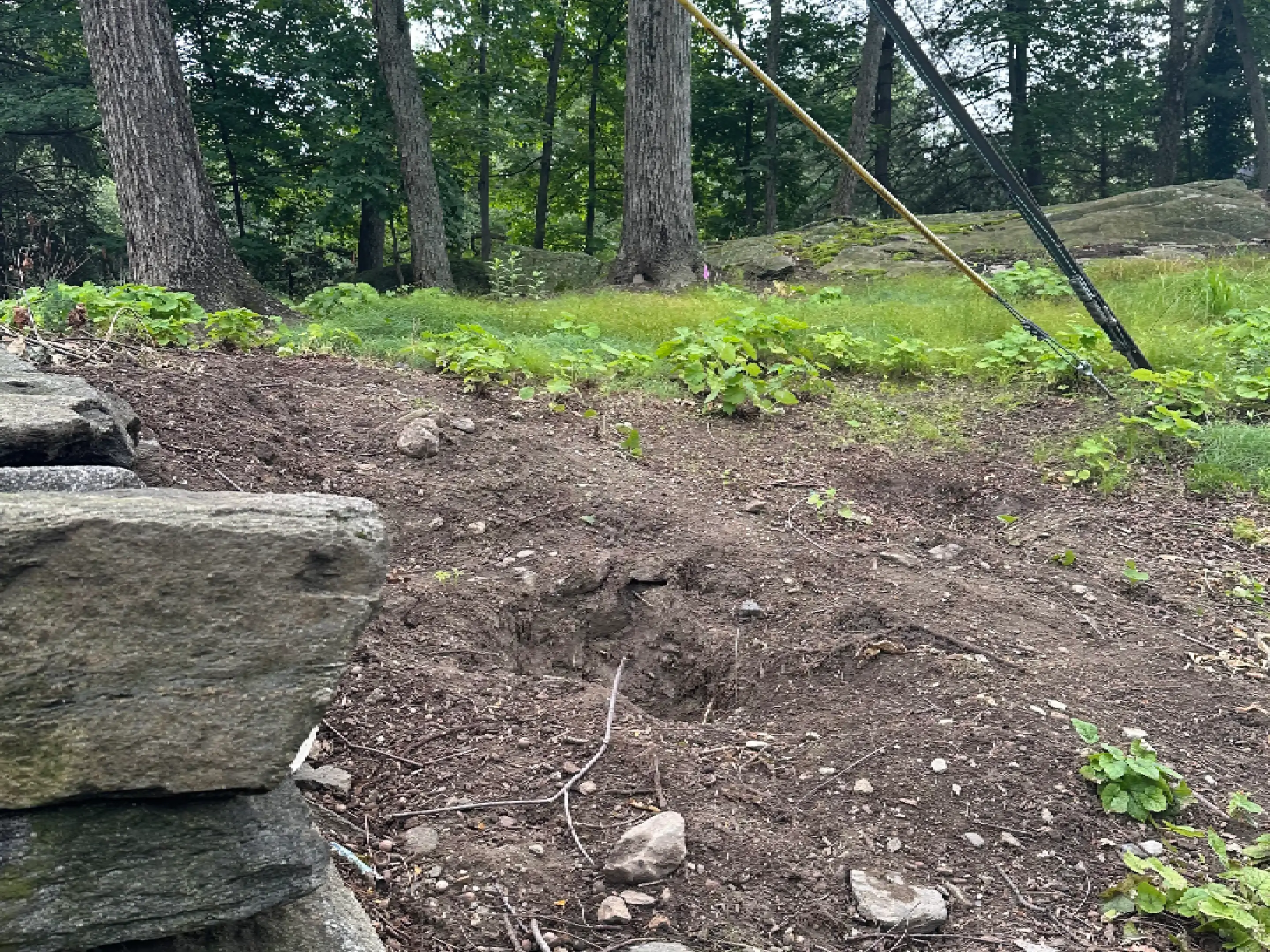 A patch of cleared dirt with some stones and trees in the background.