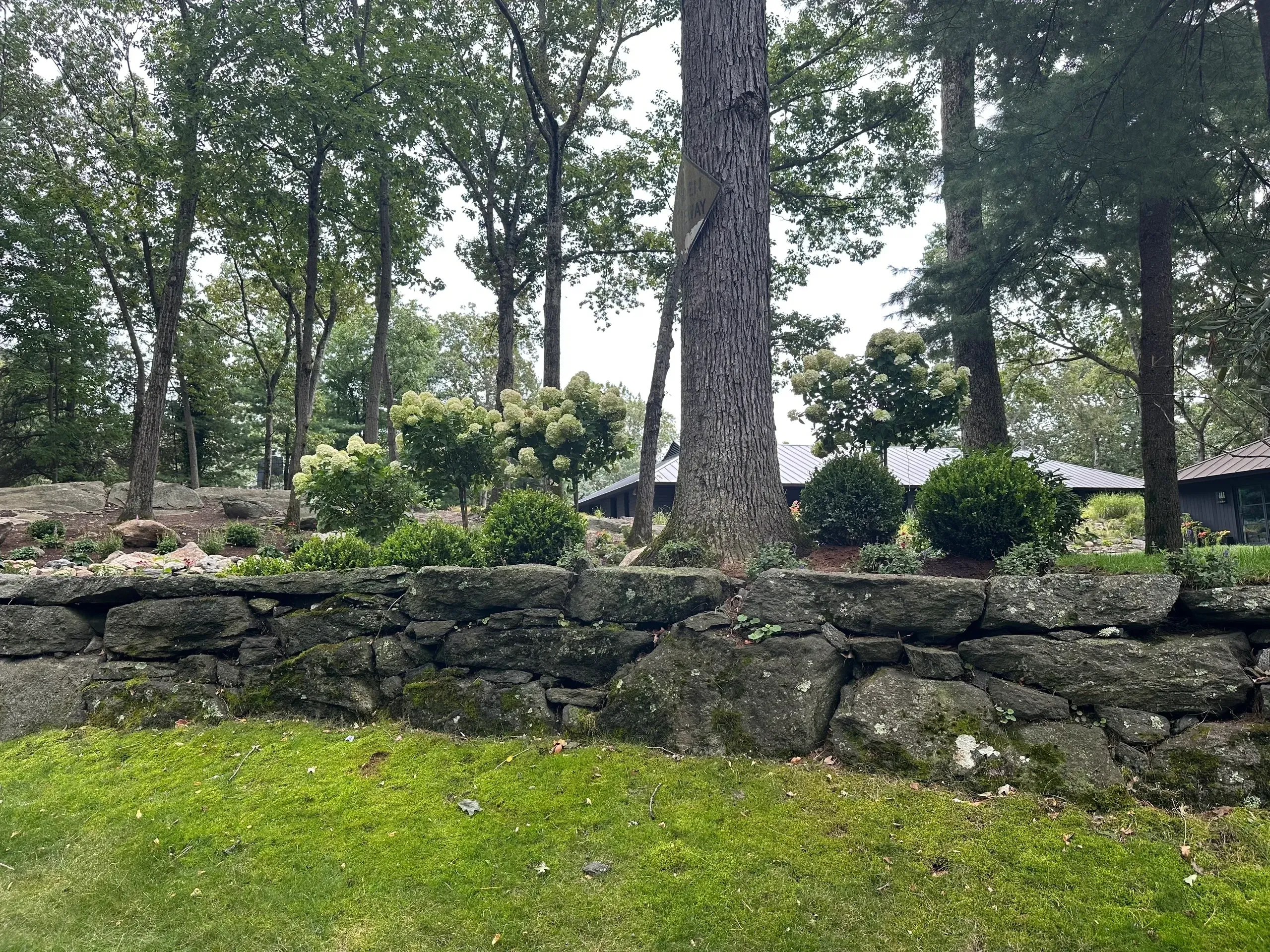 Scenic view of forested garden landscape