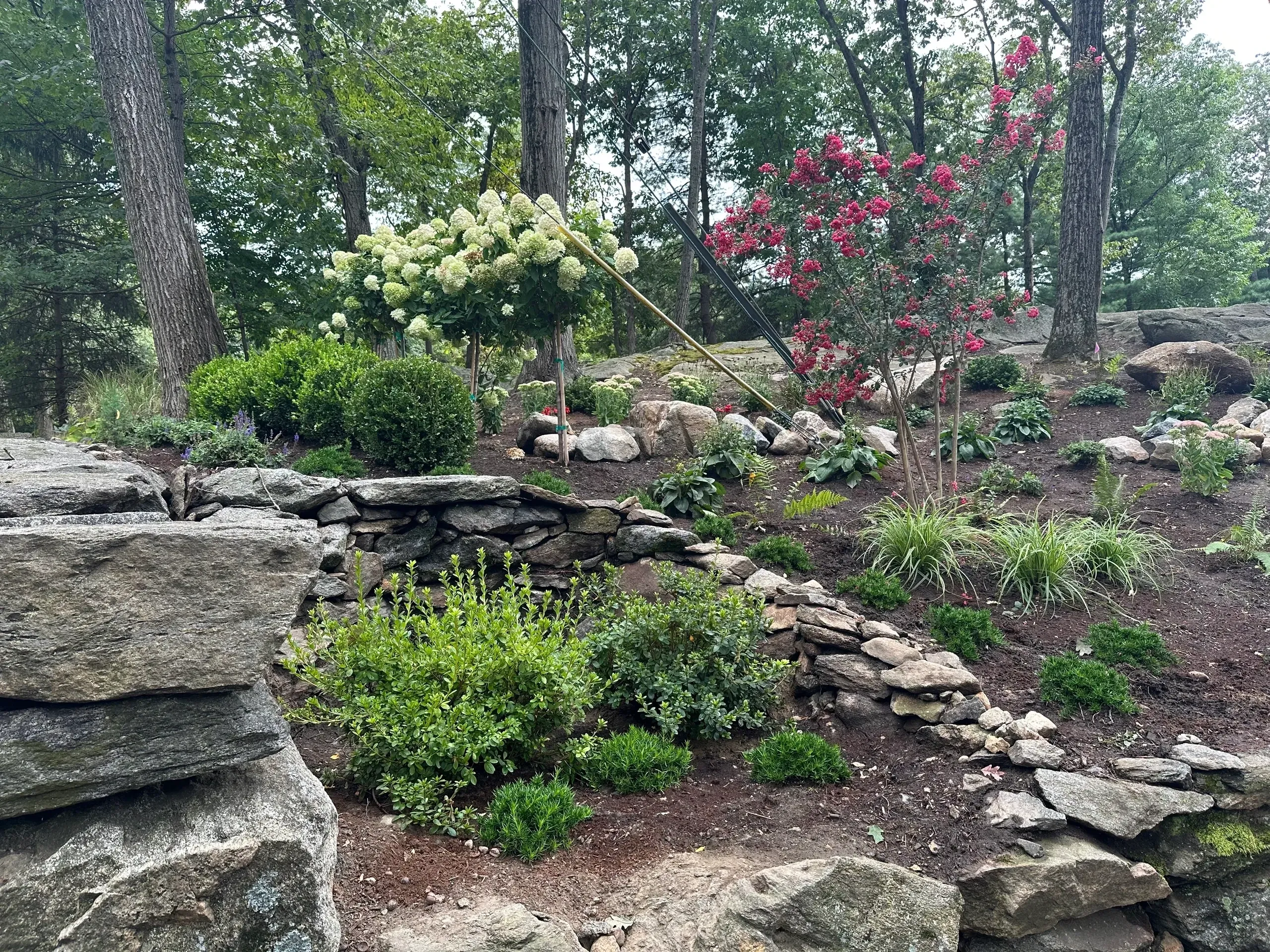 Stone wall and colorful garden