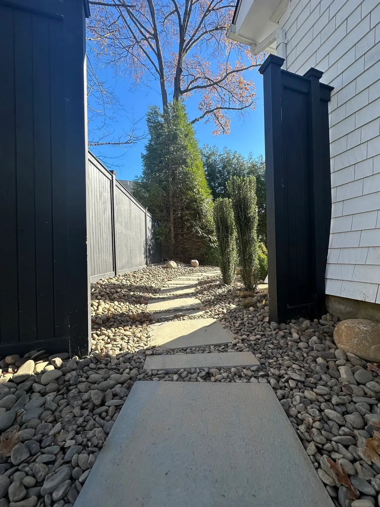 Sunlit pathway with trees and stones