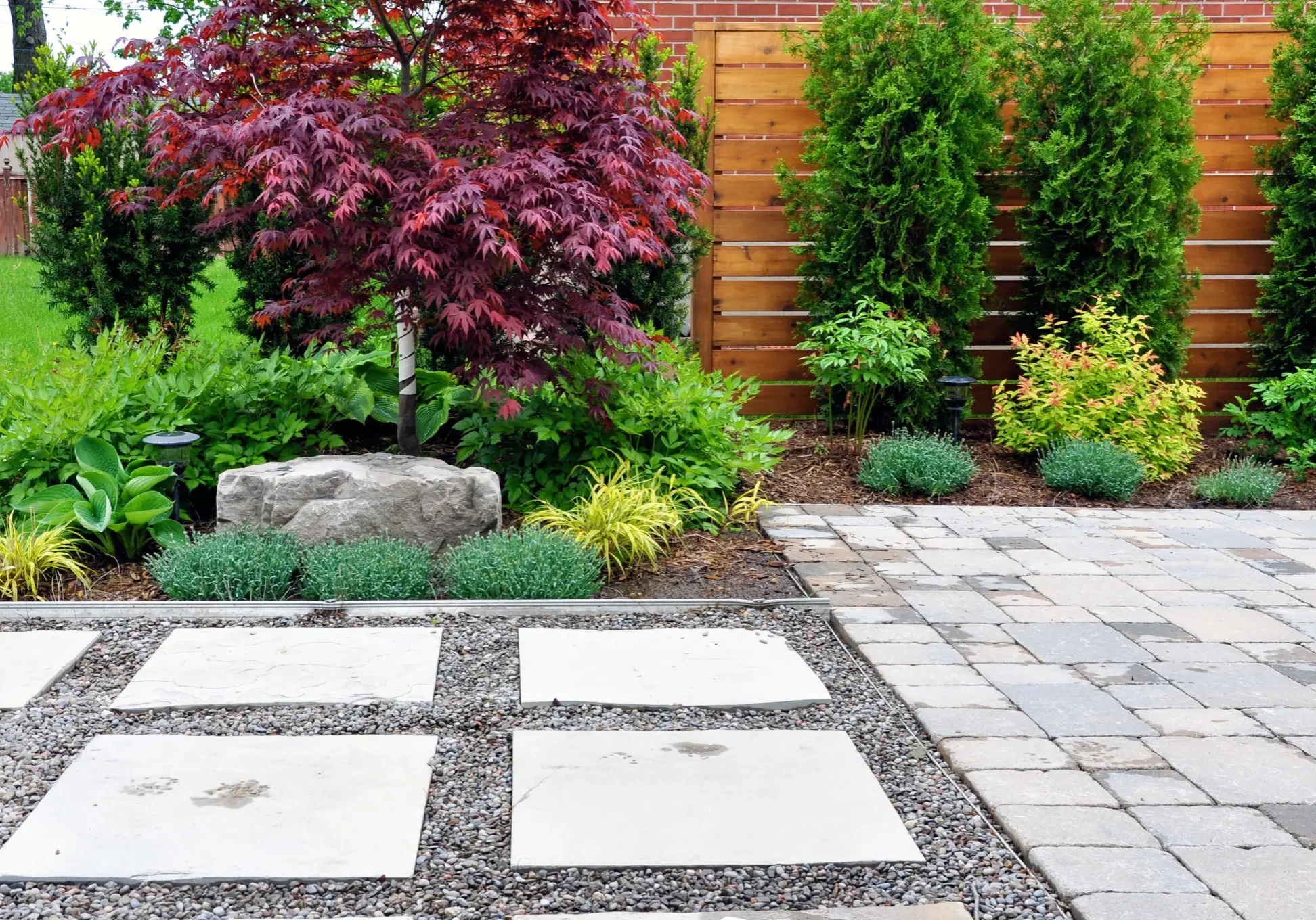 Modern garden path with square pavers and lush greenery.