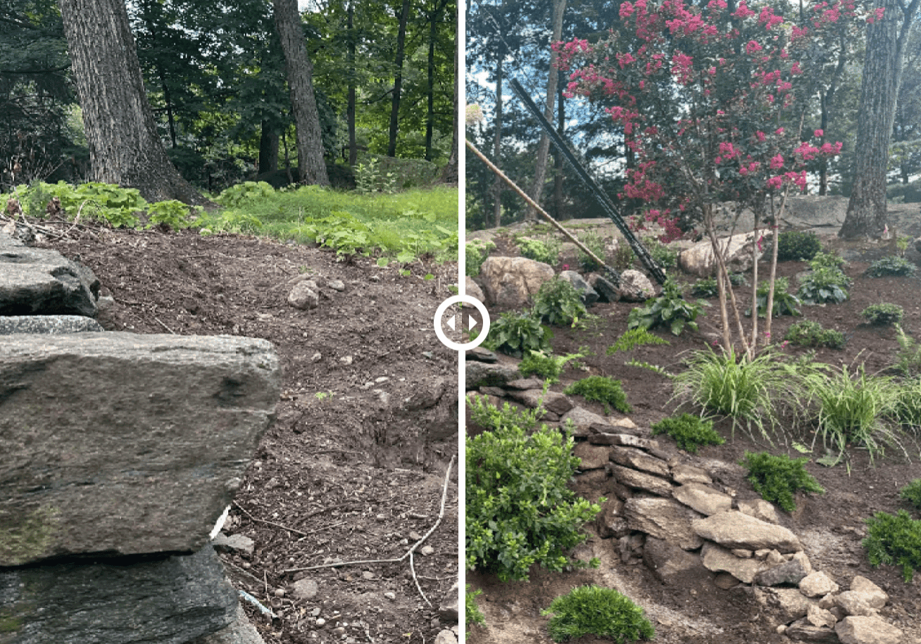 before after landscape design